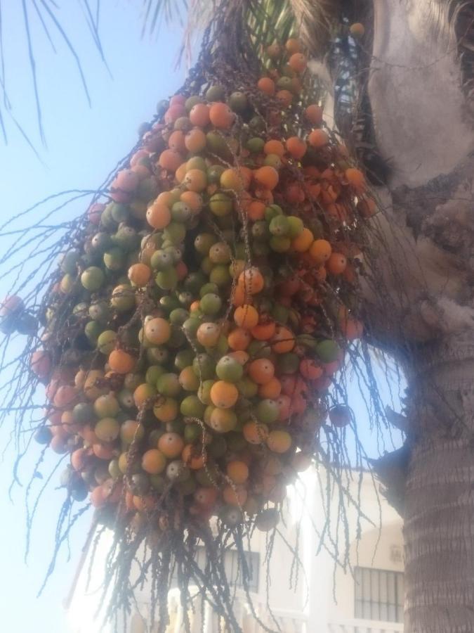 בנאחראפה Casa Paraiso מראה חיצוני תמונה